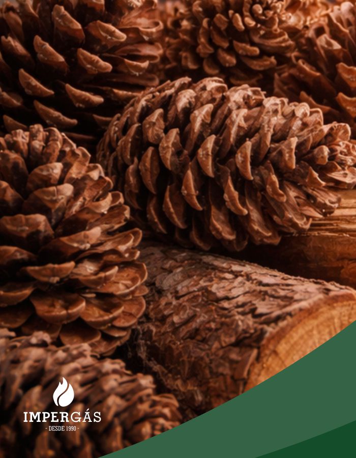 Saco de Pinhas ImperGás 